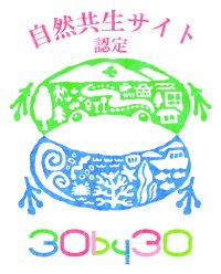当社の保有林が環境省「自然共生サイト」に認定