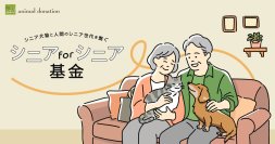 超高齢社会における新しい動物福祉モデル
高齢者が高齢の保護犬猫を迎える「アニドネ シニア for シニア基金」を設立