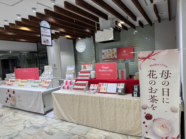【柏高島屋】花茶と果茶専門店「fuacha」ポップアップストア＆ワークショップ開催｜4/22（水）～5/12（火）母の日ギフトにぴったりなカーネーション花茶も登場