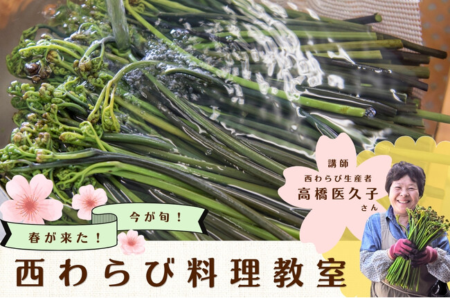 旬の「西わらび」料理教室　5月16日に北上市で開催