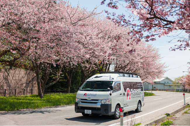 ピースニャンコ、能登半島地震被災地・石川県珠洲市で「移動手術車」による48匹一斉避妊去勢手術を実施