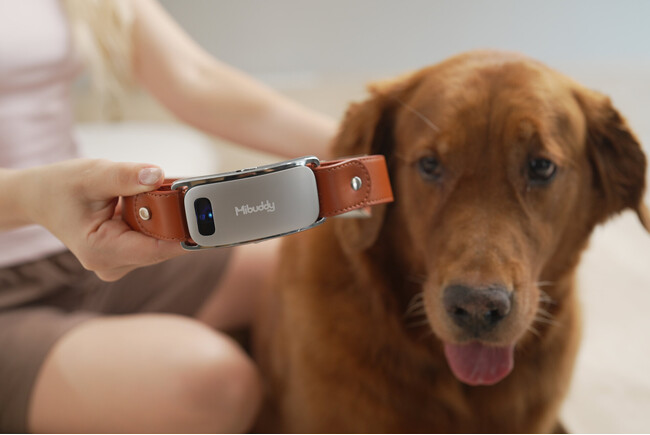 世界初※ AI犬語翻訳スマート首輪「Mibuddy」が日本初上陸。Kickstarter目標額3,500%超達成の話題製品が、2026年夏Makuakeにてプロジェクト開始