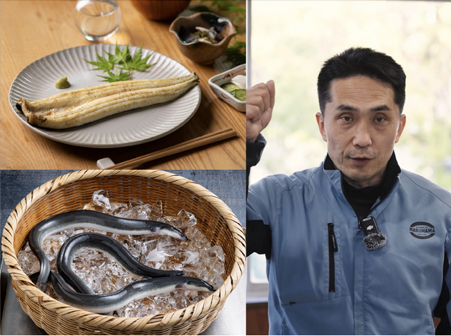 素材甲子園「ichi」静岡大会、第2弾参画生産者を発表