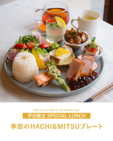 【HACHI&MITSU】日々に彩りとご褒美を。旬の野菜をはちみつで彩る新ランチ「季節のHACHI&MITSUプレート」が登場！