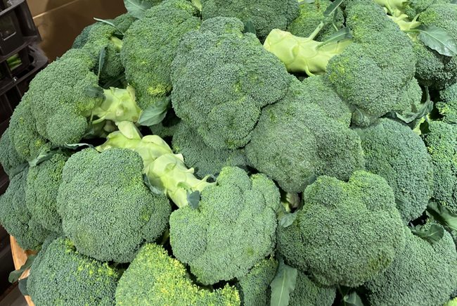 ブロッコリー、約52年ぶりに新たな「指定野菜」へ｜2月の出荷件数は最高水準、価格も安定
