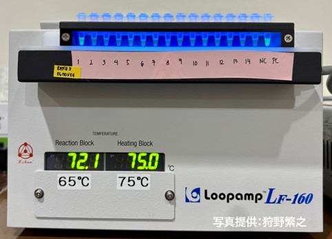 第13回ゼロマラリア賞2026は栄研化学株式会社へ