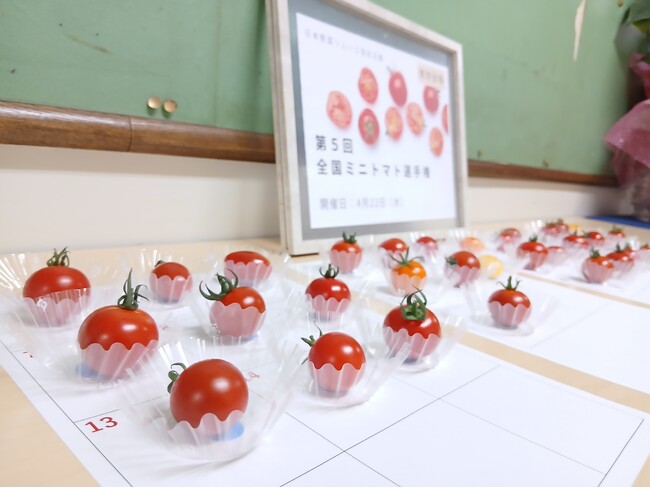 ミニトマト日本一が決定！東京都府中市「さわとまと柔/澤藤園」が最高金賞を受賞！