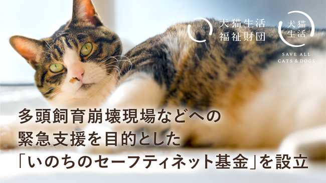 犬猫生活福祉財団、多頭飼育崩壊などの緊急レスキューを目的とする「いのちのセーフティネット基金」を設立。