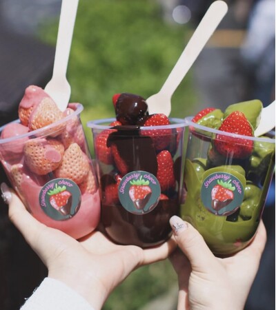 【岩手初上陸】究極の苺スイーツ。ストロベリーチョコ 専門店「Strawberry choco」が５きげんグルメフェスに出店！2026年5月2日～2026年5月6日