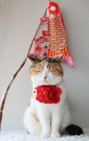 いなばペットフード　わんちゃん・猫ちゃんとの「こどもの日」ショット 2026年5月カレンダー画像を公開中！