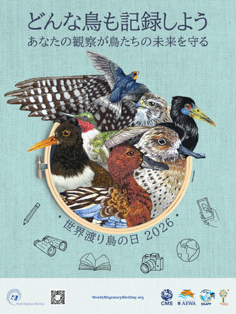 5月9日は「世界渡り鳥の日」どんな鳥も記録しよう―あなたの観察が鳥たちの未来を守る