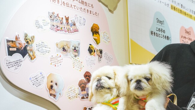 愛犬家300名以上の想いが集結。コノコトトモニ が日本最大級のペットイベント、「インターペット東京2026」で参加型企画“メッセージウォール”を実施【出展レポート】