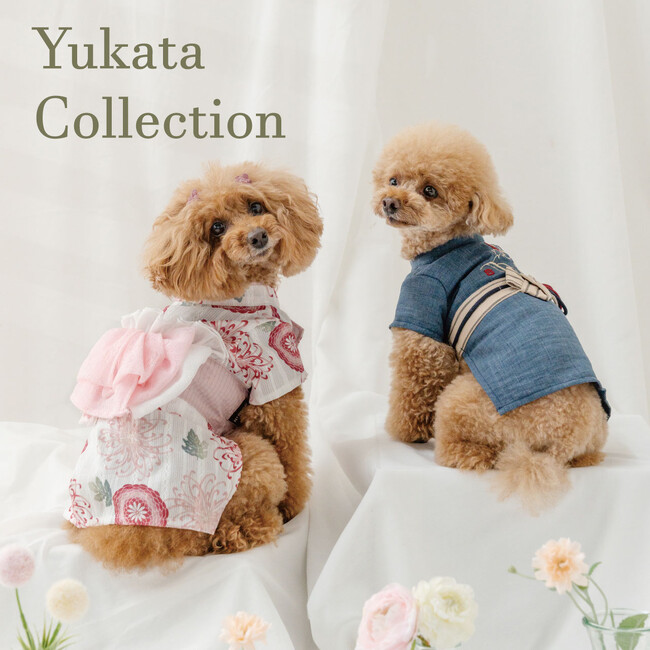 麻混・綿素材を用いた「浴衣コレクション」を4月24日（金）から順次販売開始