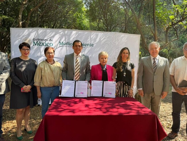 Avocados From Mexicoが、森林破壊対策の新たな一歩となる「森林破壊ゼロ協定」を締結