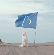 ペットブランド「STANDING ON THE BLUE」、2026年春夏コレクション第二弾を発売