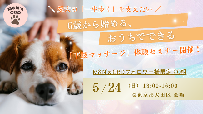 「愛犬の“一生歩く”を支える」プレシニア向け下肢マッサージ体験セミナーを2026年5月24日に開催