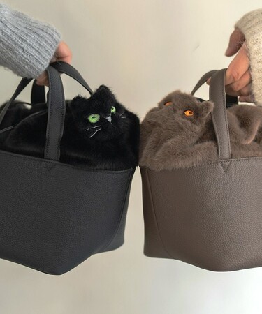 株式会社HAYNI　猫の腎臓病を研究するAIM医学研究所への寄付のご報告