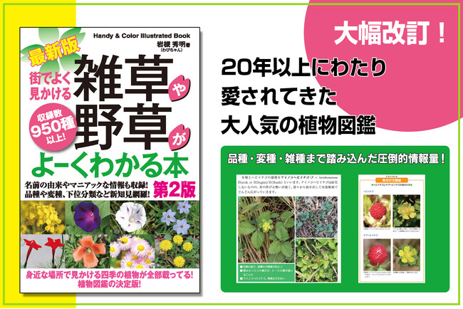 20年以上にわたり愛されてきた大人気の植物図鑑が大幅改訂！　『最新版　街でよく見かける雑草や野草がよーくわかる本[第2版]』が2026年5月発刊！