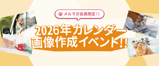 いなばペットフード　わんちゃん・猫ちゃんとの「梅雨の一コマ」 2026年6月カレンダー写真を大募集！