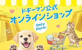 公式オンラインショップオープン! 公式オンラインショップオープン!