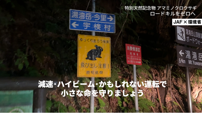 【JAF鹿児島】環境省と共同で「ストップ！ロードキル」動画公開 第2弾　～アマミノクロウサギ交通事故件数 過去最多～