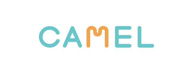 不動産クラファン『CAMEL』、東証グロース上場企業と資本業務提携を締結