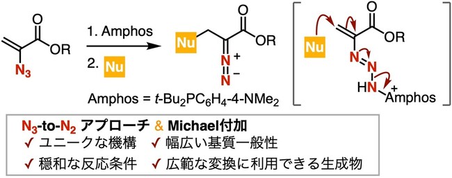 アジドからジアゾ化合物を一挙に合成する新反応を開発 ～医薬品開発に有用な含窒素複素環化合物の合成に新たな道を拓く～