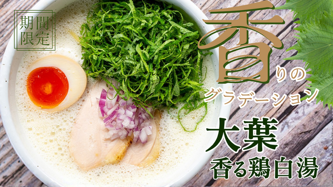 【鶏白湯ラーメン 白鶏舎（ハッケイシャ）】濃厚×爽快の衝撃。初夏を彩る期間限定メニュー「大葉香る鶏白湯」が5月7日より新登場！