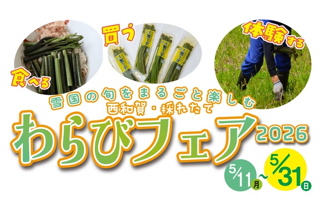 「西和賀・採れたてわらびフェア 2026」開催（5/11～5/31）