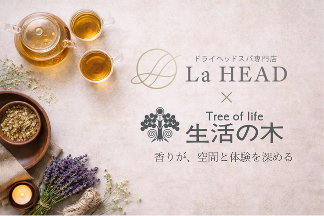 ドライヘッドスパ専門店『La HEAD』、生活の木の製品導入で“香りと余韻”の体験設計を強化