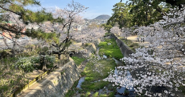 【5月24日開庵】西宮・夙川に、暮らしに溶け込む住宅併設の本格茶室「夙央庵」誕生。正座不要、靴のまま楽しめる茶の湯体験。