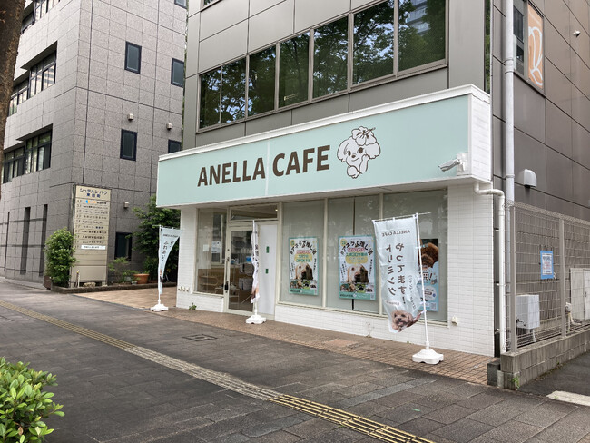 【保護犬猫×就労継続支援】勢いが止まらない「ANELLA CAFE（アネラカフェ）」静岡県4店舗目「浜松中央店」5月7日(木)オープン！
