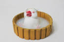 白文鳥パッケージに使用した、立体造形作家 midonos.制作の白文鳥の粘土細工(湯は合成)