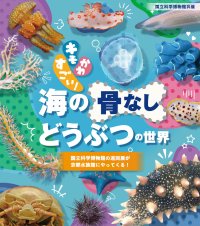 【京都水族館】国立科学博物館巡回展が京都水族館へやってくる
「キモかわすごい！海の骨なしどうぶつの世界」開催