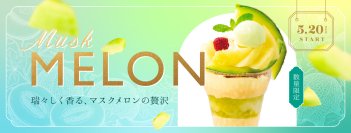 1本の木に1果。気品高い香りと甘み
国産「マスクメロン」デザート登場
～2026年5月20日(水)よりデニーズ全店で販売開始～