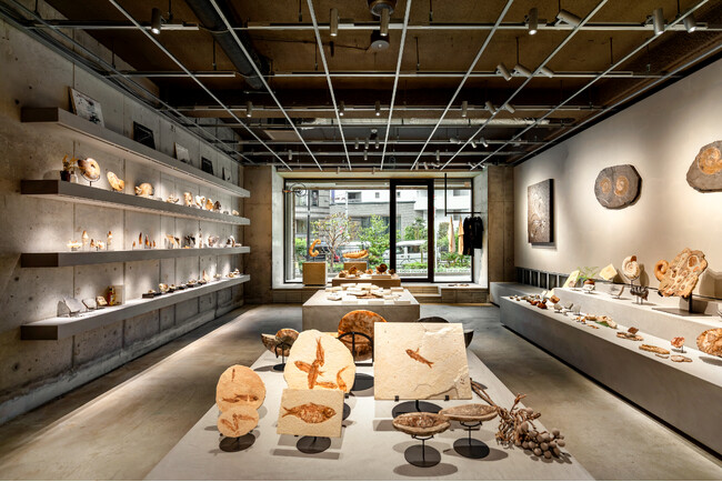【東京・新宿】博物館級の化石が購入できる「買える化石博物館 TOKYO」がグランドオープン。GW期間中は数千万円クラスの大型化石も完売！東京初披露の希少な恐竜化石も多数。