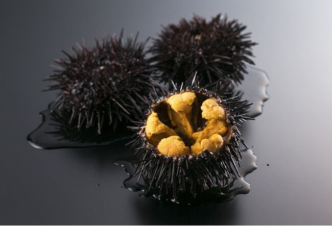 世界で唯一の“うに牧場”が育む、圧倒的な甘みと旨み！食べるほどに海を豊かにする「洋野うに牧場の四年うに」が今年も解禁