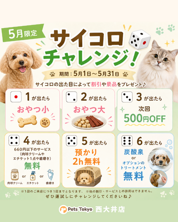 【PetsTokyo 西大井店】５月限定！サイコロチャレンジキャンペーンを開催