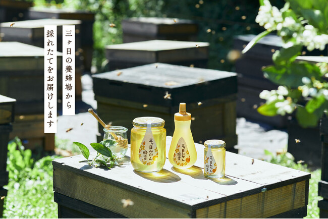 「朝採れ生はちみつ、そのまま瓶へ」長坂養蜂場、鮮度0日！2026年新蜜「三ヶ日みかん蜂蜜」販売へ