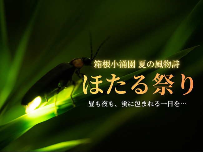【箱根小涌園】箱根小涌園「ほたる祭り」開催～自然が織りなす幻想と、光の演出が融合する初夏限定イベント～