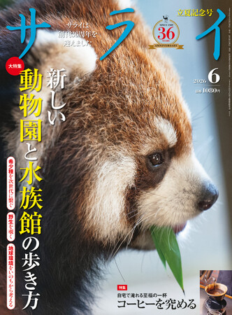 『サライ』最新号は、「新しい動物園と水族館の歩き方」を大特集。先進的な施設の種の保存や環境保全への取り組みに迫ります。
