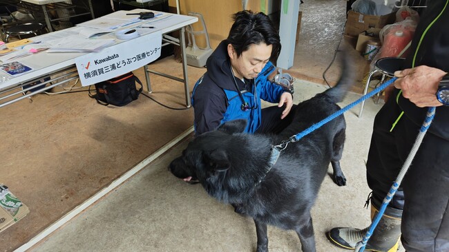 ＩＲＯ公認国際救助犬試験　１日目終了