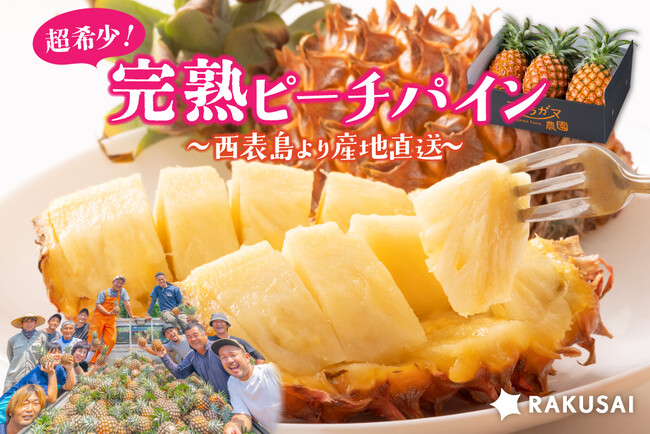 超希少！西表島より産地直送 アララガマ農園さんの完熟『ピーチパイン』