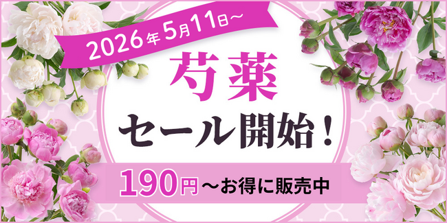 【期間限定】芍薬SALEを2026年5月11日～開催！｜花の卸通販フラワースミスマーケット