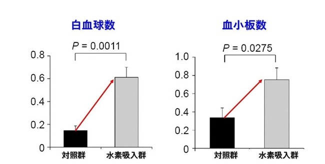低濃度水素吸入が放射線治療の骨髄障害を抑制：白血球・血小板減少を有意に軽減｜MiZ・5機関共同研究