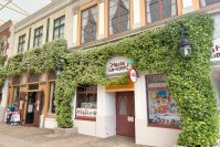 【志摩スペイン村】スタージャスミンが満開を迎えました！