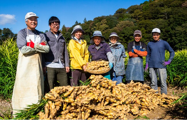 【Answers／事例紹介】豊かな土佐の風土が育む生姜を全国へ。省人化・省力化を目指して「あさの」が取り組む自動化ラインにコンタクトフリーザーTak-Auto（タックオート）が貢献。【前川製作所】