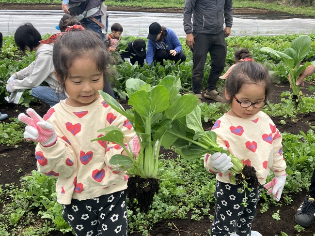＜カゴメ、全国農協観光協会、ABC Cooking Studioによる共同企画＞「野菜が好きになる！親子食育体験ツアー」を開催。土に触れ、野菜を収穫、その場でピザづくり！