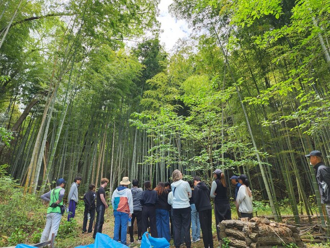 【関西外国語大学】国際共生学部生と留学生が「にほんの里100選」枚方市穂谷の荒廃した竹林の整備に取り組んでいます