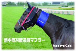 【USIMO】馬のヒートストレス軽減と競争能力向上の両立を目指して！接触冷感ネッククーラー「モーっとクール」に【ファイテン】のリラックス＆リカバリー効果をプラスして新発売。馬の熱中症対策・健康維持に！